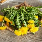 10 Herbal yang Baik untuk Menyehatkan Limpa